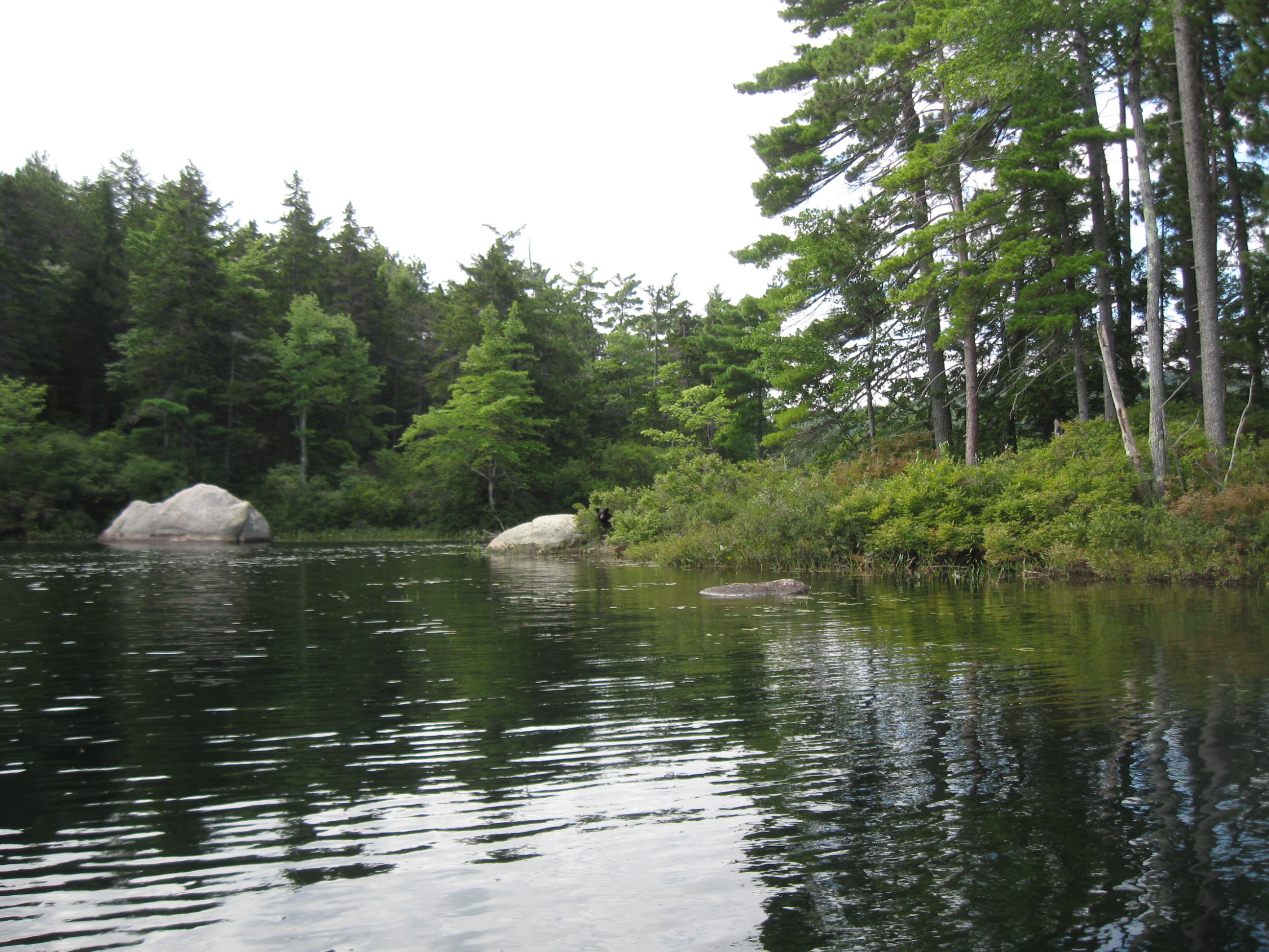 Photo 1 from GREATER LOVELL LAND TRUST INC