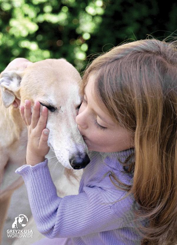 Photo 3 from GREY2K USA Worldwide