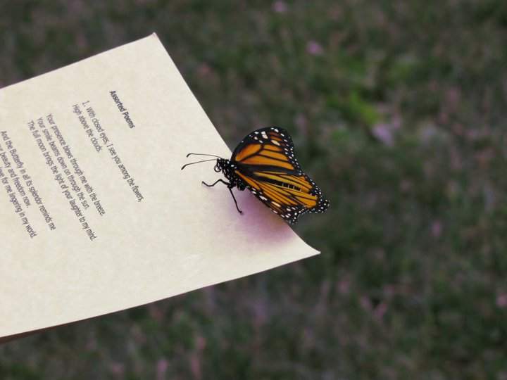 Photo 2 from COVE CENTER FOR GRIEVING CHILDREN INC