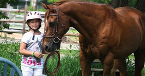 Photo 4 from HORSE OF CONNECTICUT INC