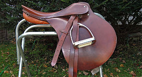 Photo 3 from HORSE OF CONNECTICUT INC