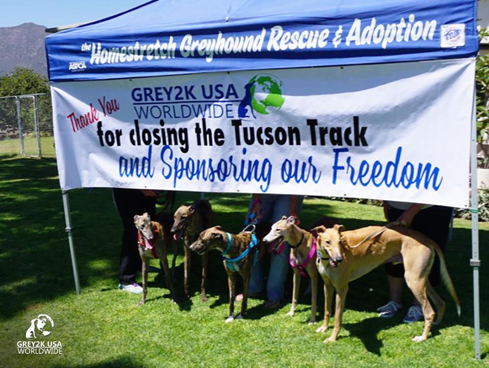 Photo 5 from GREY2K USA Worldwide