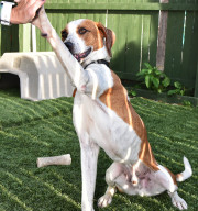 Photo 1 from Sanctuary At Haafsville