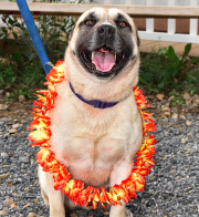 Photo 2 from Sanctuary At Haafsville