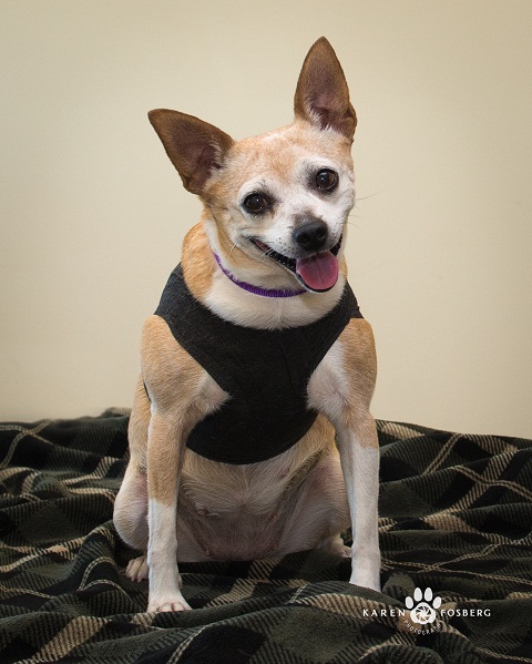 Photo 5 from SCRAPS HOPE FOUNDATION