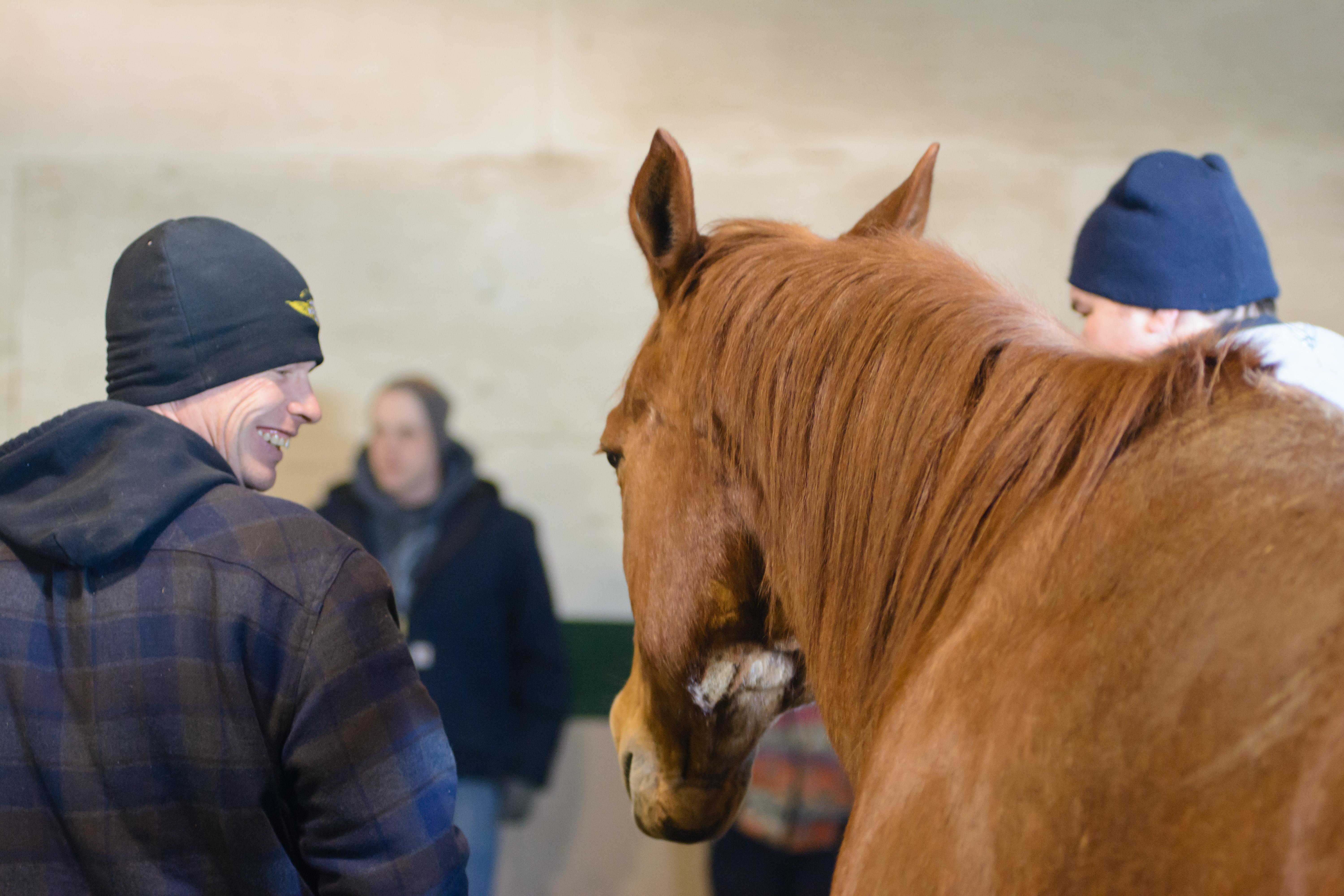 Photo 14 from Operation Horses and Heroes