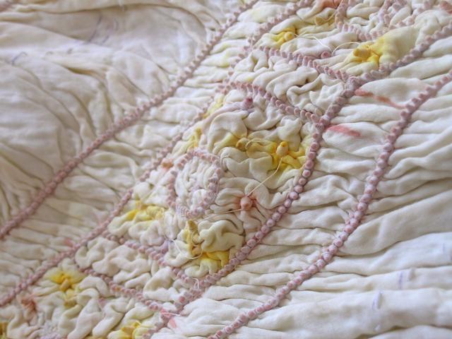 Photo 7 from FRIENDS OF TILONIA INC