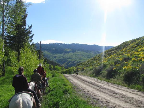 Photo 3 from Birthright America