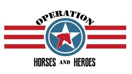 Photo 15 from Operation Horses and Heroes