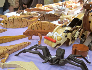 Photo 1 from Eagle Creek Park Foundation, Inc.