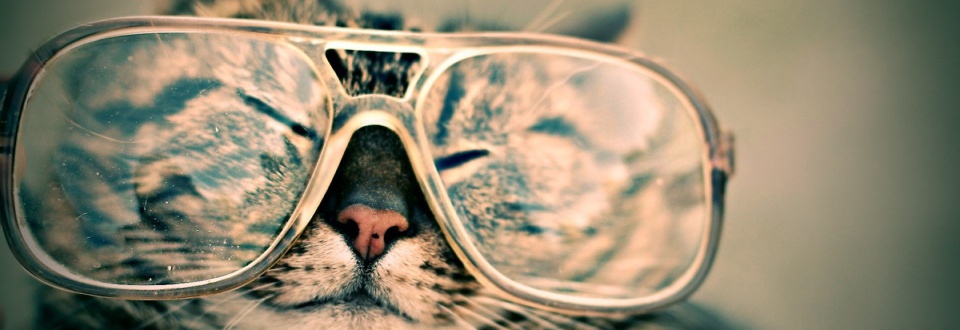 Photo 4 from Sanctuary At Haafsville