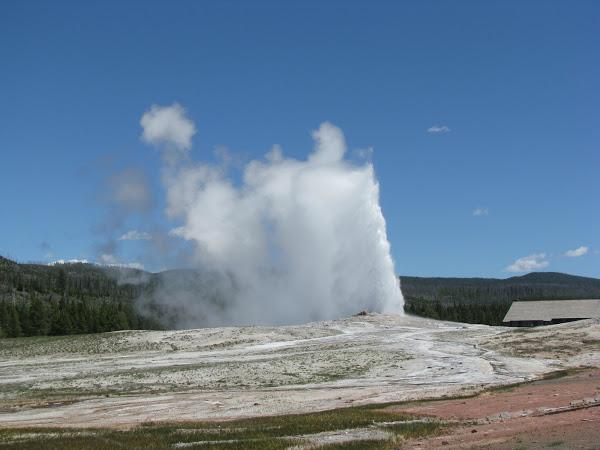 Photo 4 from Birthright America