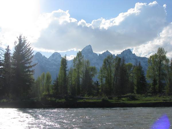 Photo 5 from Birthright America