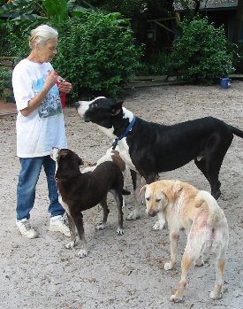 Photo 2 from JOURNEYS END ANIMAL SANCTUARY INC