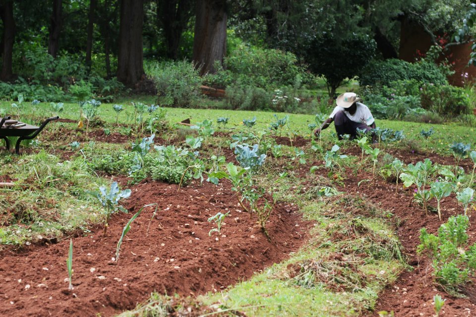 Photo 2 from 2 Seconds or Less