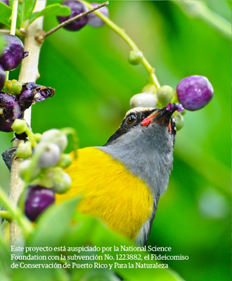 Photo 7 from Para la Naturaleza