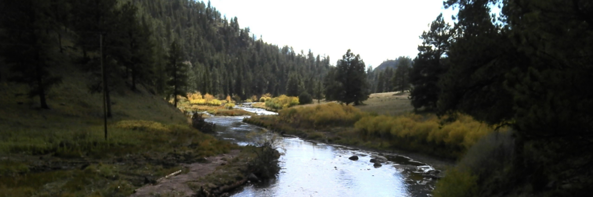 Photo 1 from Coalition for the Upper South Platte