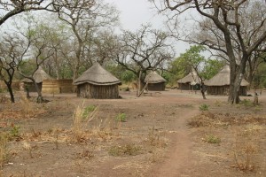 Photo 6 from SISTER EFFECT INC