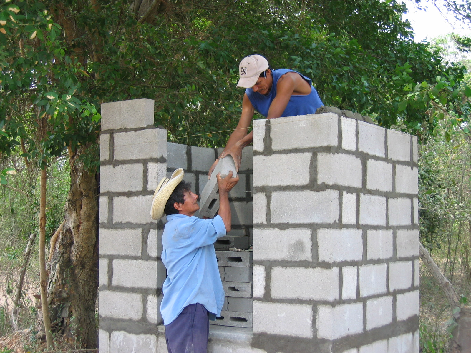 Photo 9 from EcoViva