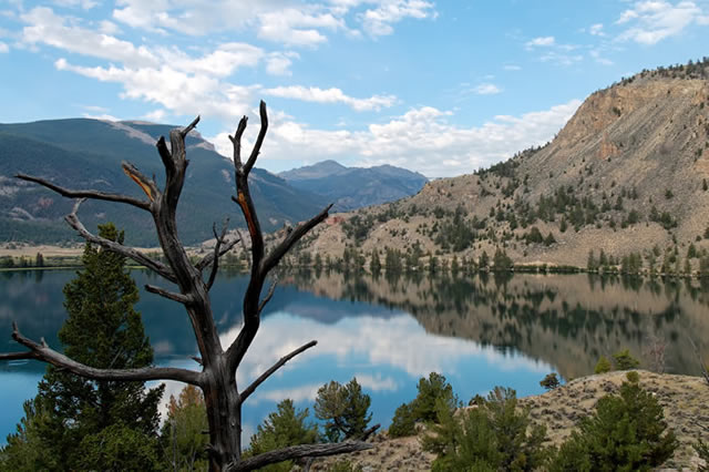 Photo 6 from RING LAKE RANCH INC