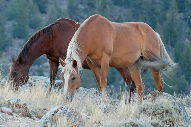 Photo 5 from RING LAKE RANCH INC