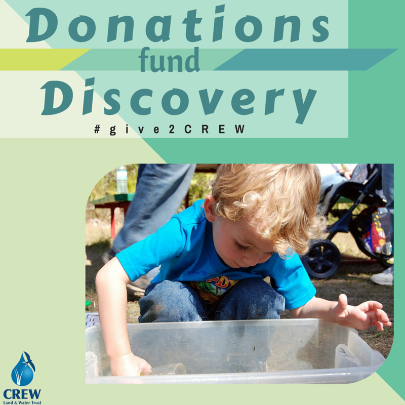 Photo 2 from Feeding The Orphans