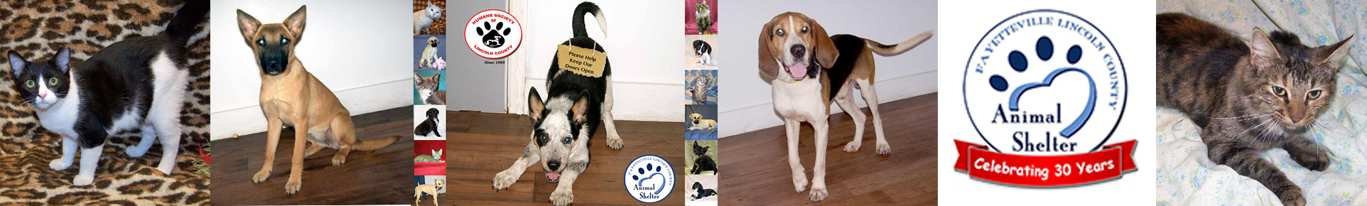 Humane Society of Lincoln County