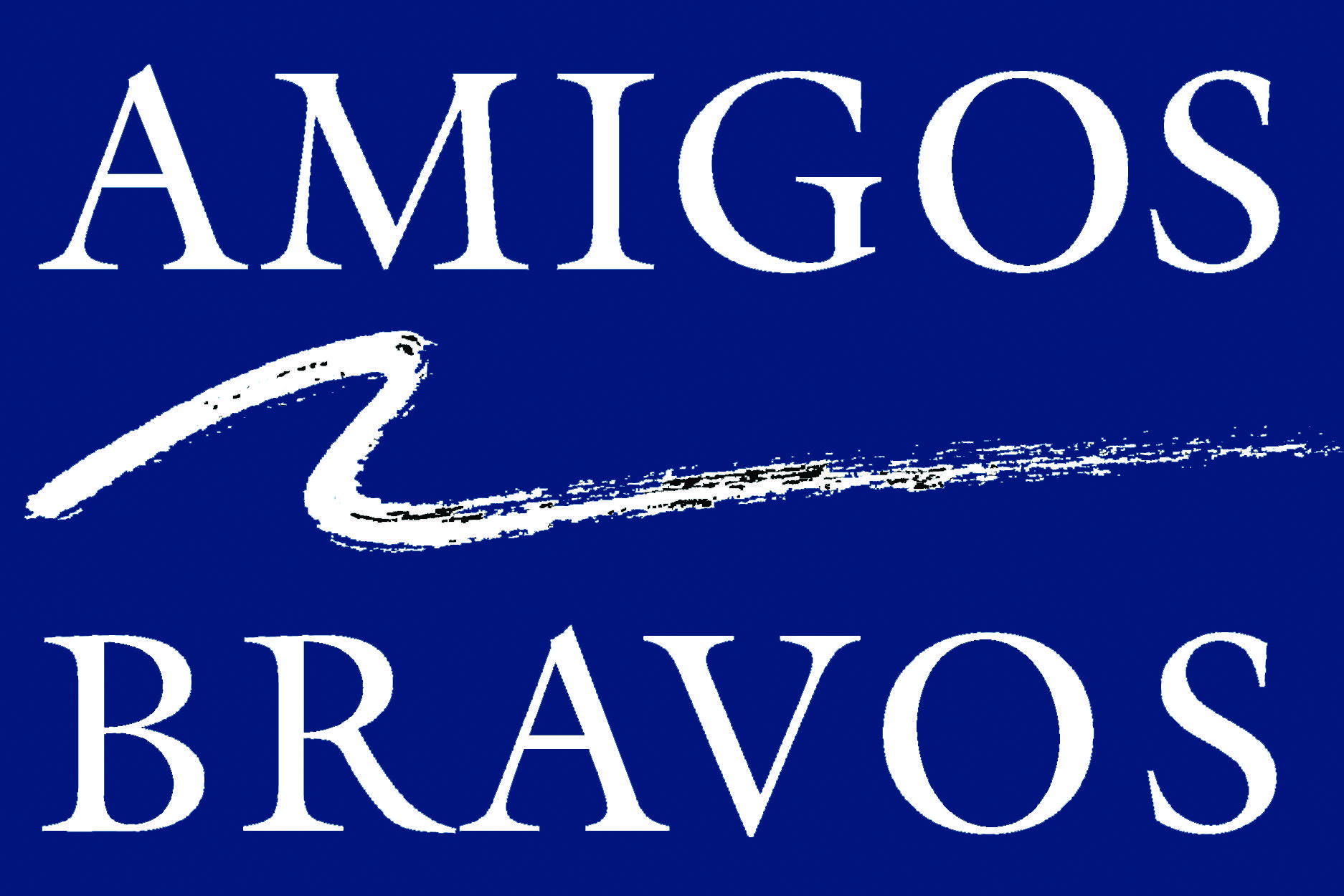 Amigos Bravos