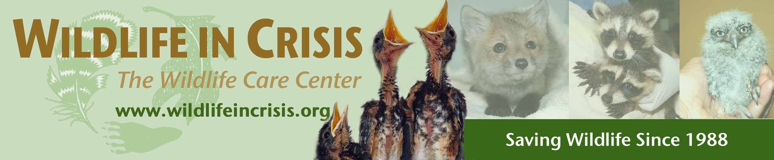 Wildlife in Crisis, Inc.