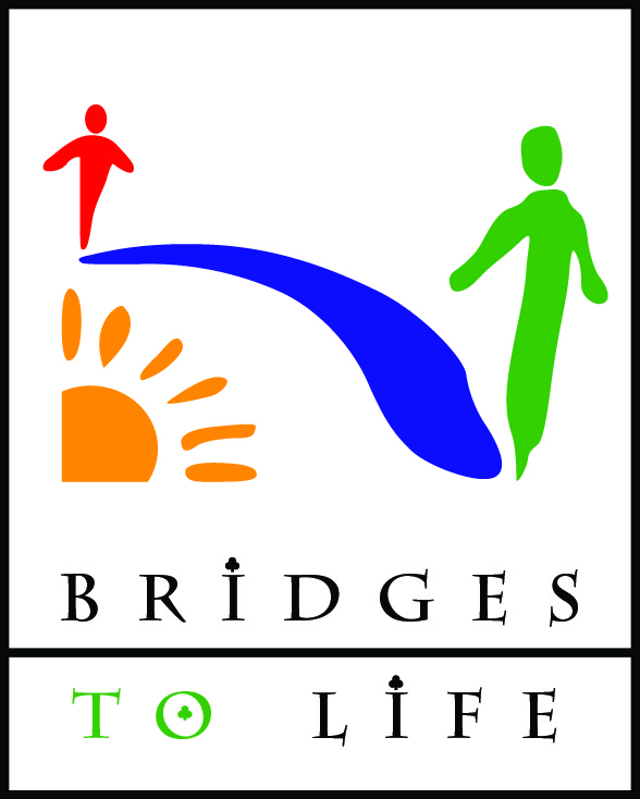 Bridges To Life