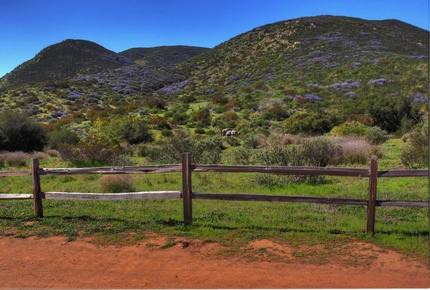 Mission Trails Regional Park Foundation 