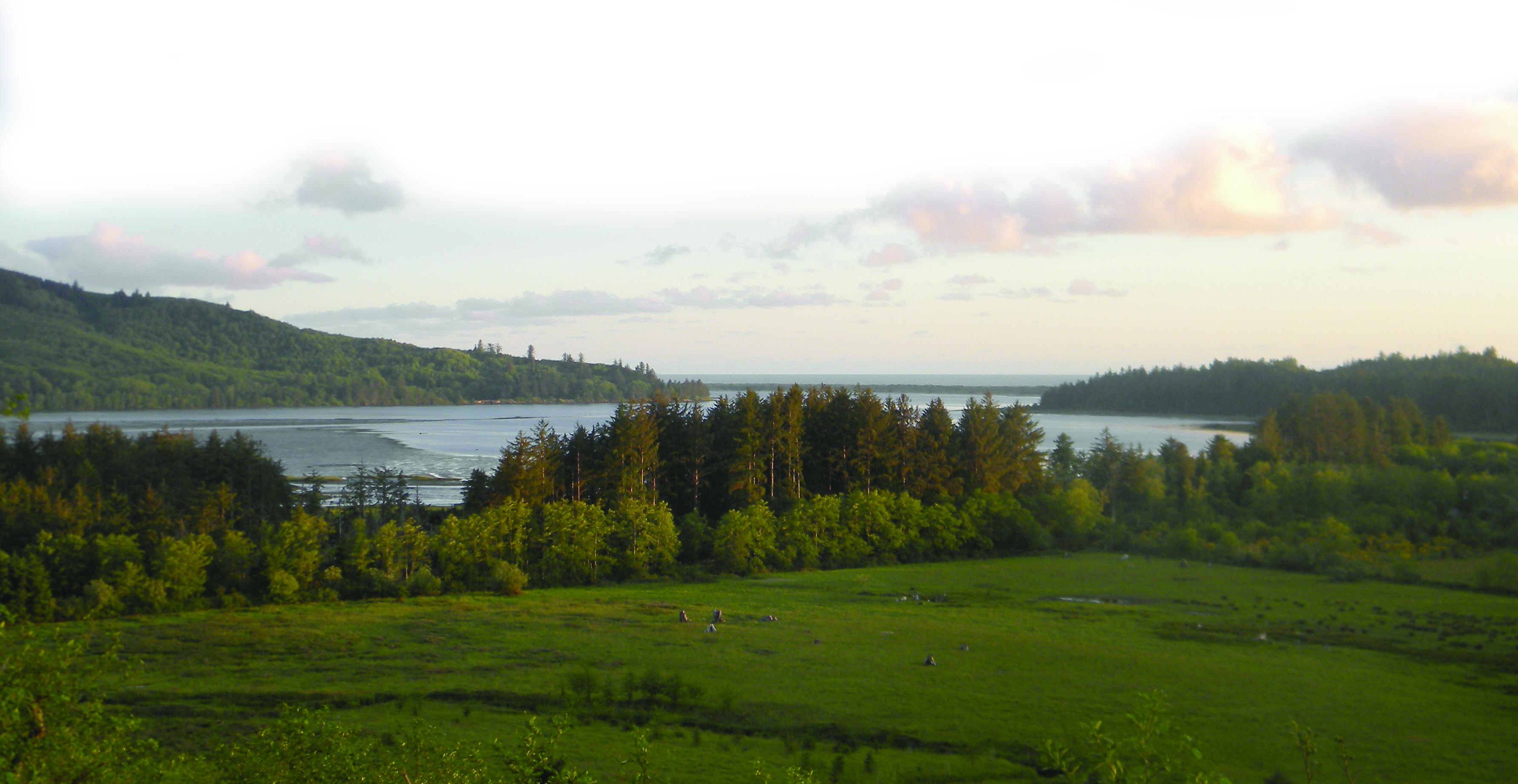Lower Nehalem Community Trust