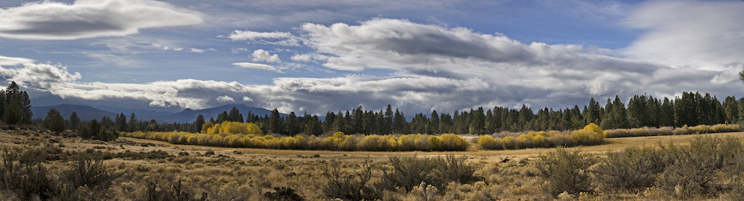 COALITION OF OREGON LAND TRUSTS