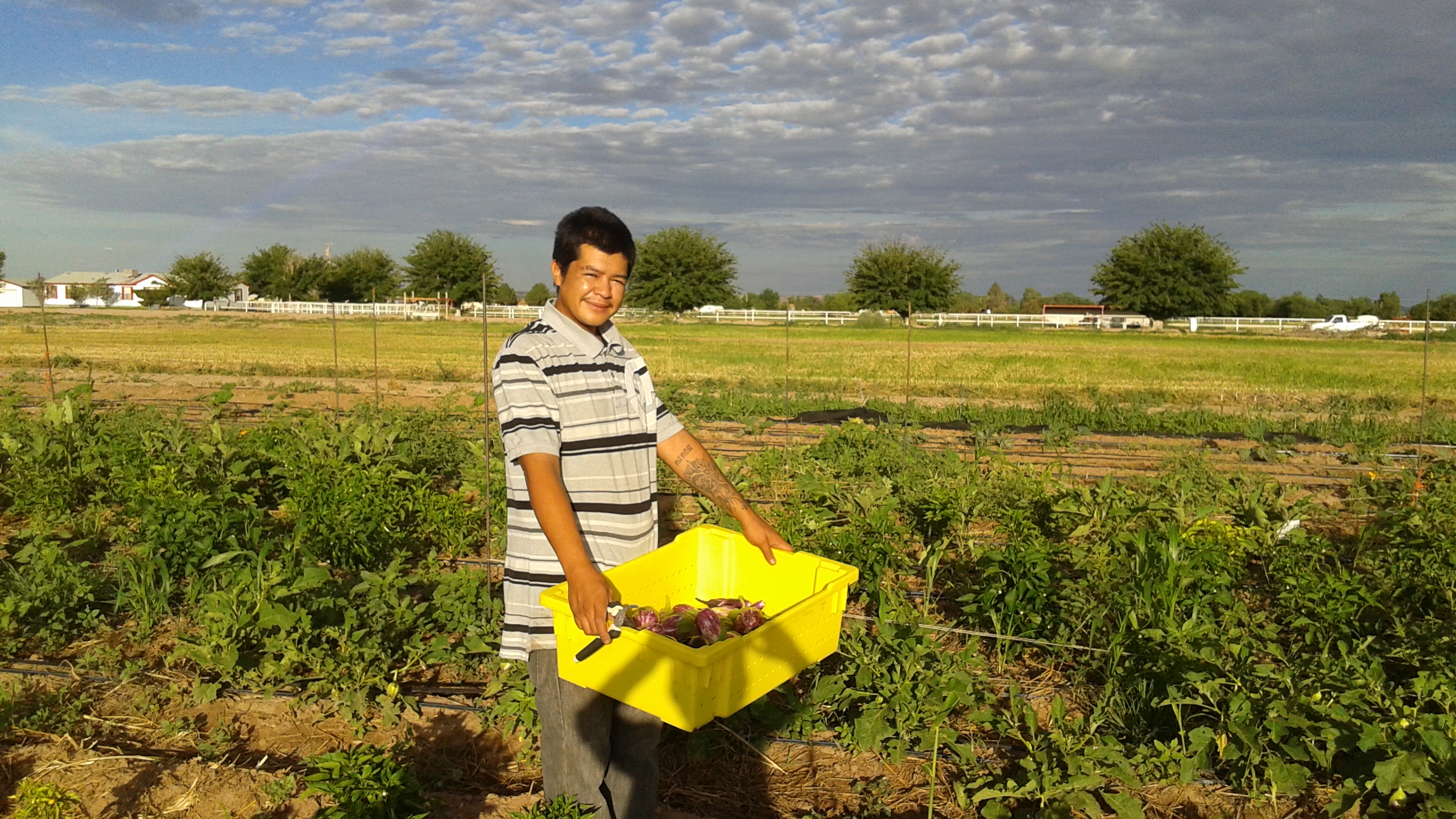 LA SEMILLA FOOD CENTER