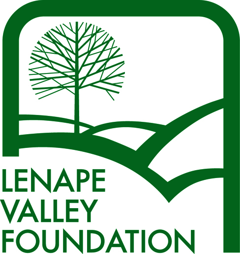 LENAPE VALLEY FOUNDATION