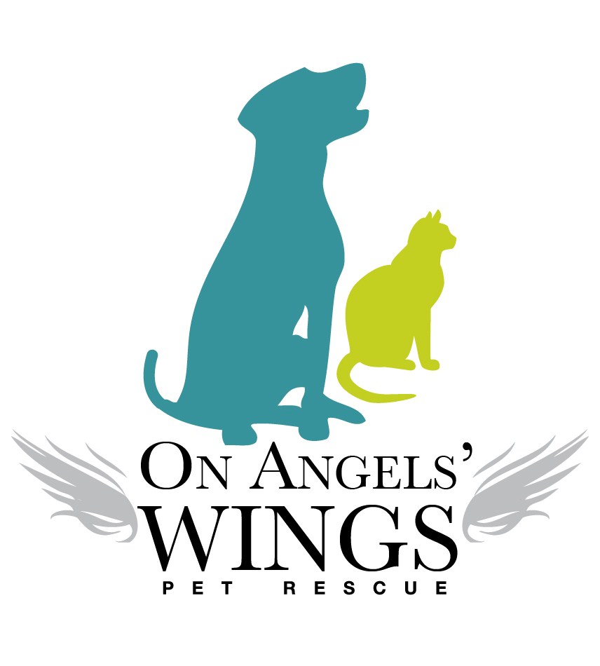 ON ANGELS WINGS INC