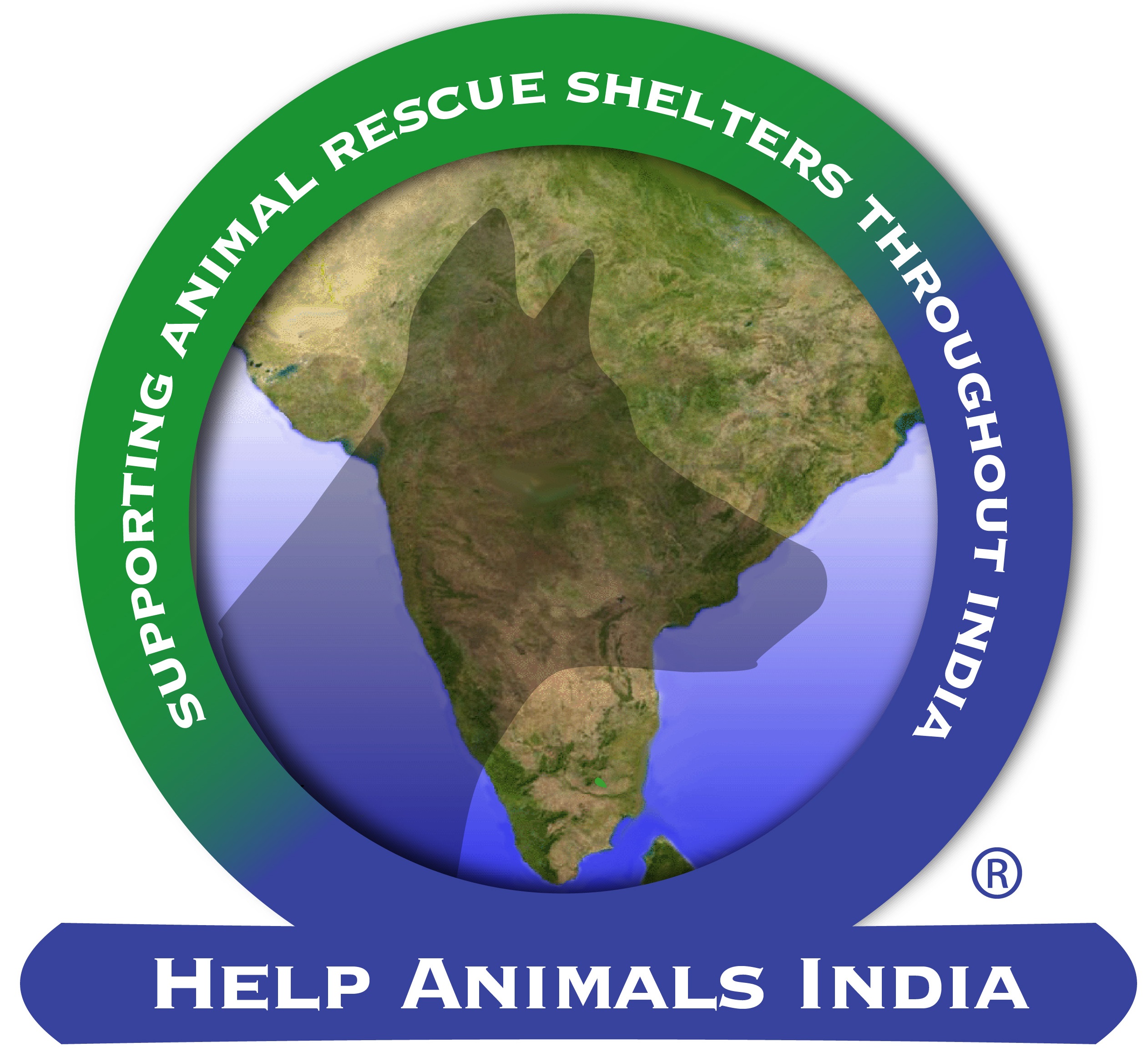 HELP ANIMALS INDIA                                                    
