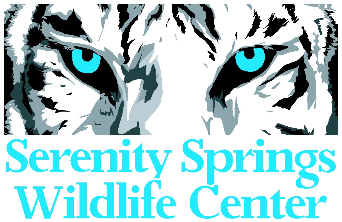 BIG CATS OF SERENITY SPRINGS INC
