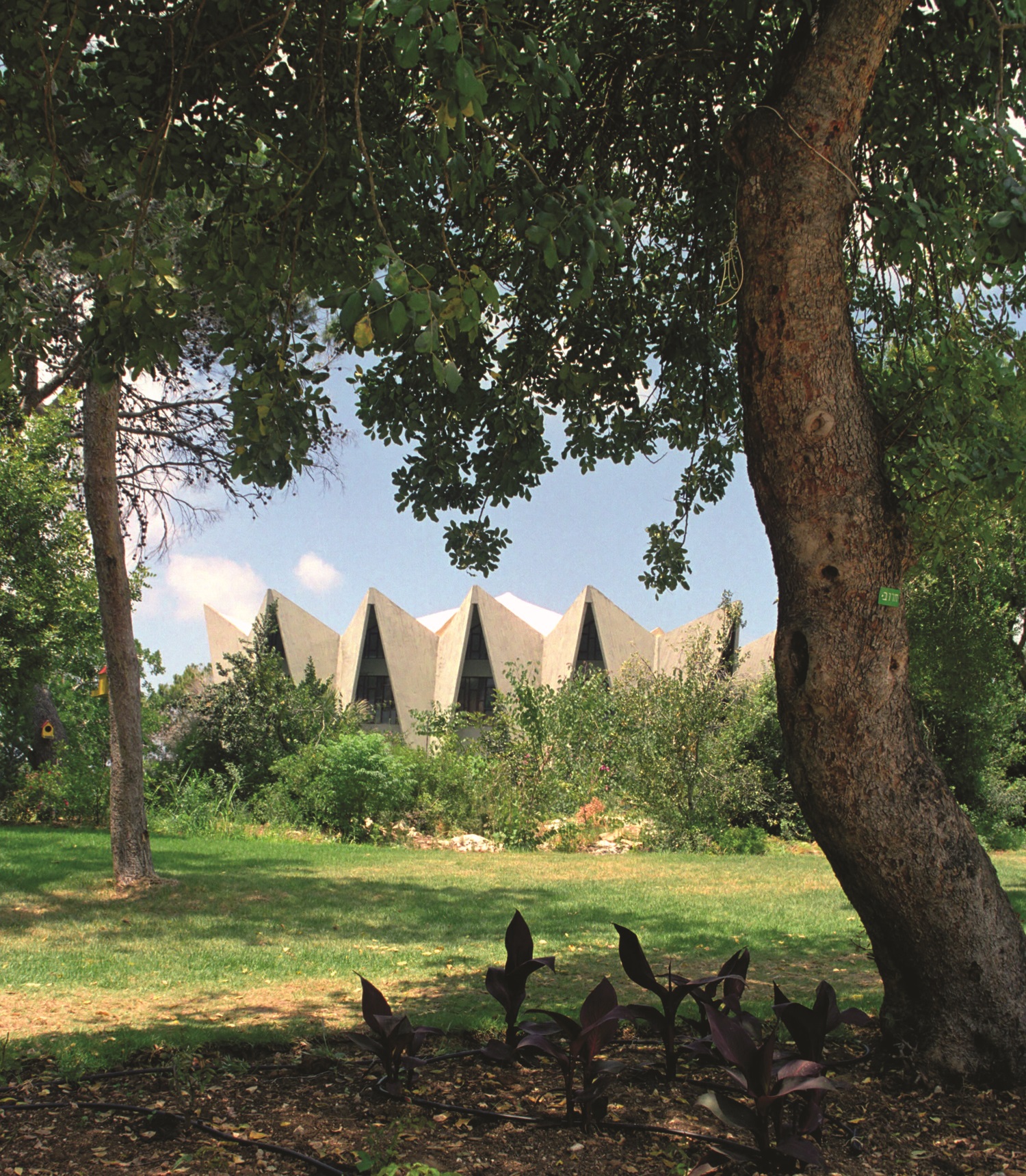 FRIENDS OF YEMIN ORDE INC cover