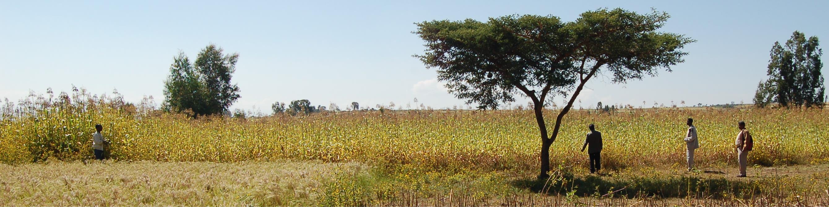 INDIGENOUS OUTREACH INTERNATIONAL cover