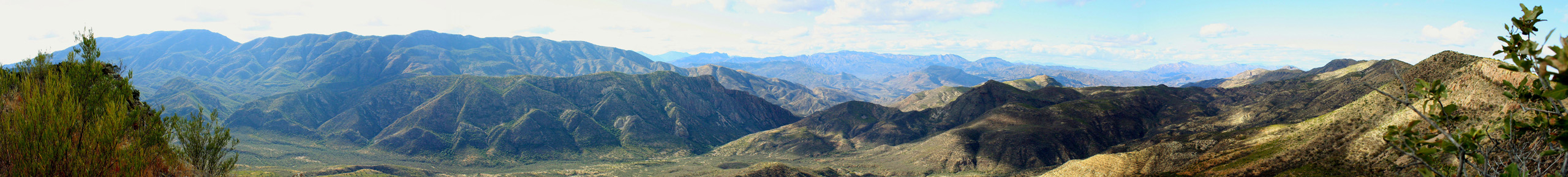 NORTHERN JAGUAR PROJECT