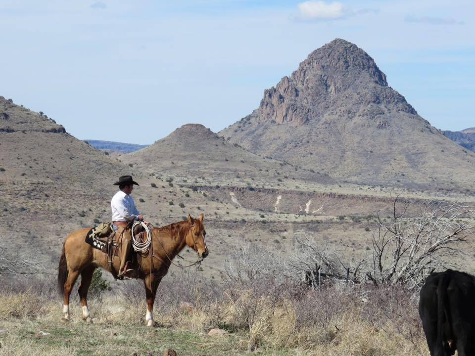 Horses For Heroes- New Mexico- Cowboy Up!