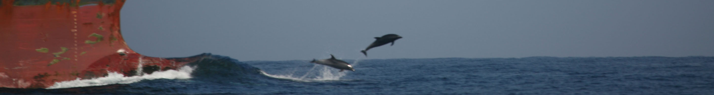 OCEAN CONSERVATION SOCIETY