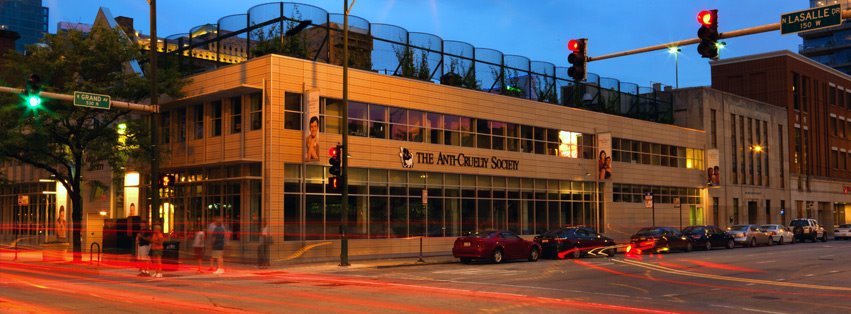 The Anti-Cruelty Society