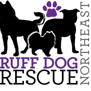 Ruff Dog Rescue North East
