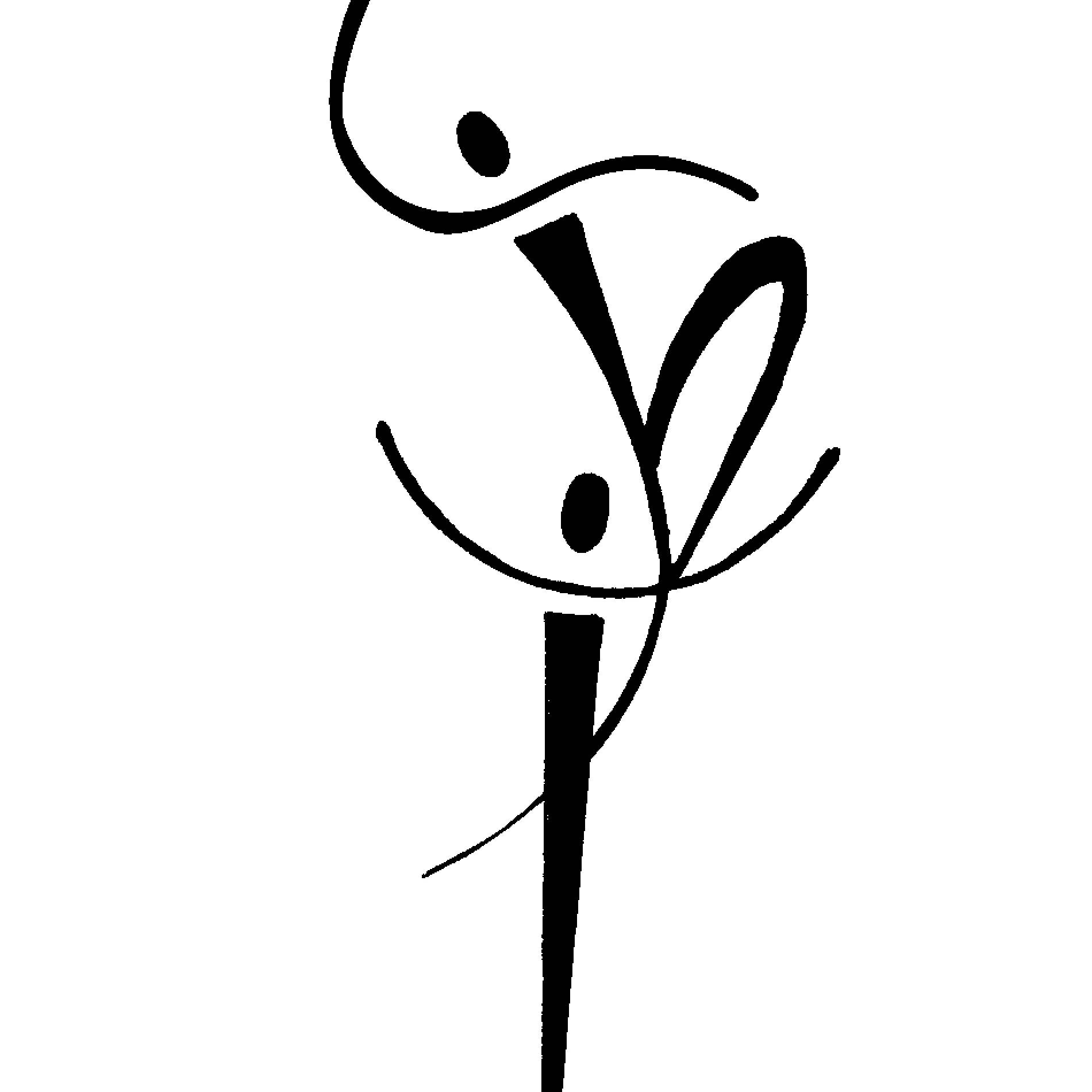 Latin Ballet of Virginia, Inc.