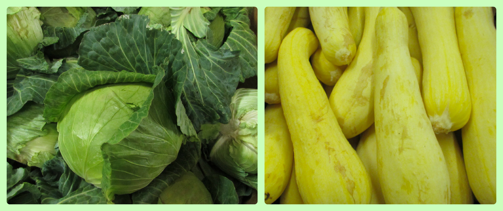 Wichita Falls Area Food Bank