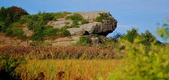 Norman Bird Sanctuary Trust