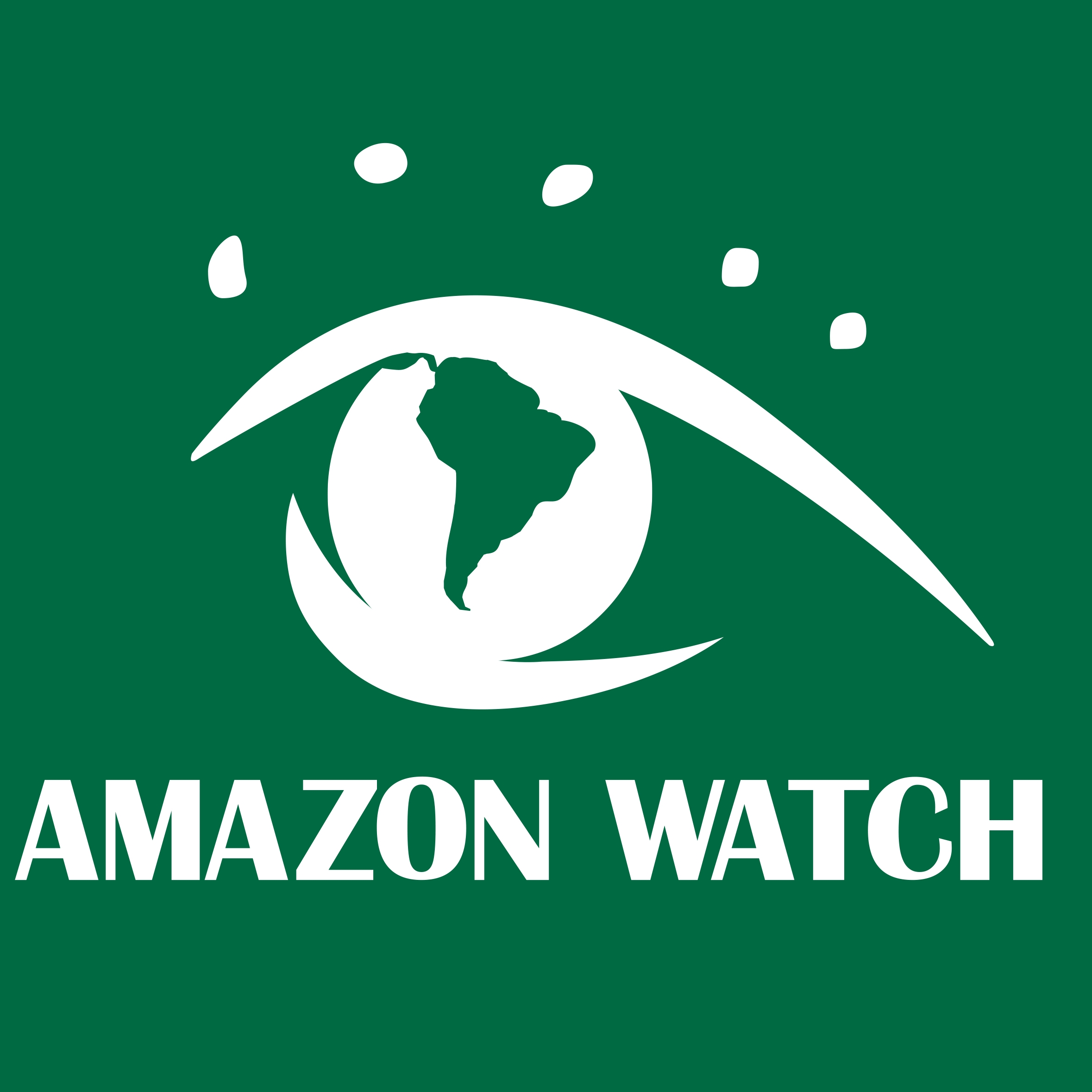 Amazon Watch
