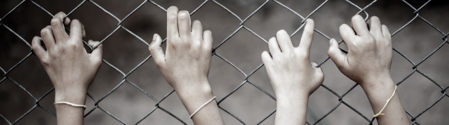 The Advocates for Human Rights